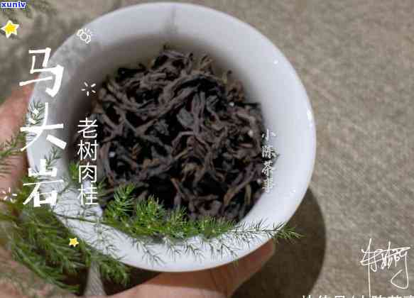 什么叫红碎茶？详解红碎茶及其破碎含义