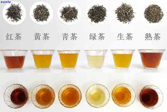 大叶种茶：绿茶、红茶还是黄茶？