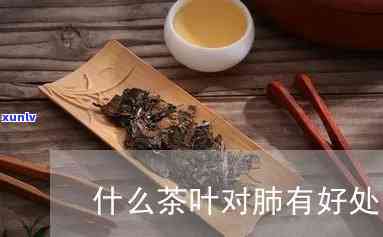 什么茶是润肺部的，探究润肺效果的茶叶，让你吸更顺畅！