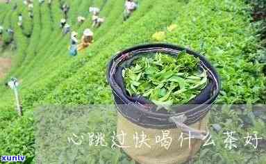 心率过快喝什么茶好？推荐几种适宜的心率调节饮品