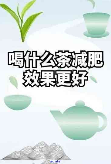 什么茶减肥效果，揭秘！哪种茶叶的减肥效果最出色？