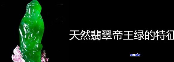 鸿泰普洱生茶价格查询：官方信息与市场拍卖价对比