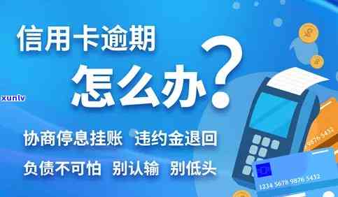 有谁申请过信用卡挂卡停息，怎样申请信用卡挂卡停息？