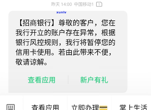 信用卡停息挂账的后果是什么影响-信用卡停息挂账的后果是什么影响