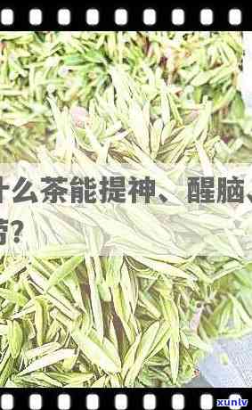 精神衰弱者应喝什么茶？快速出的茶叶选择与好处