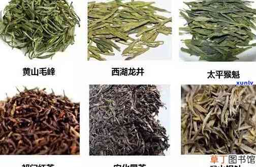 西湖茶叶品种，探索西湖：品味各类名茶的韵味与魅力