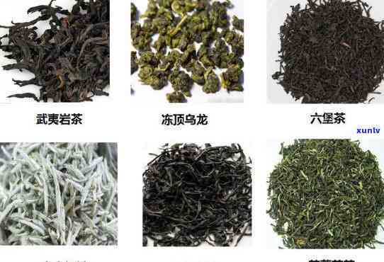 西湖茶叶品种，探索西湖：品味各类名茶的韵味与魅力