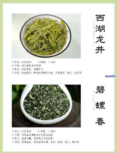 西湖茶叶品种，探索西湖：品味各类名茶的韵味与魅力