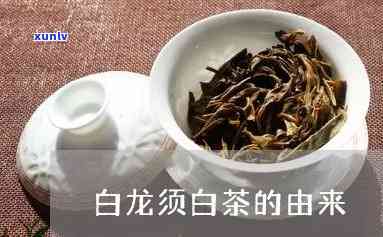 龙须茶为何含有白色粉末？详解其来源与影响