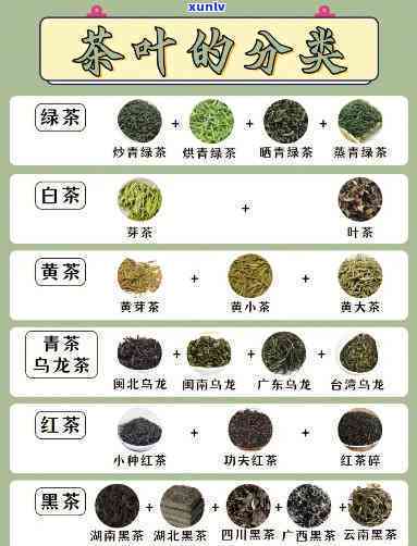 117茶叶品种，探索世界茶文化：揭秘117种茶叶品种的魅力与特性