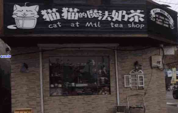 猫煮茶奶茶店：特色招牌奶茶及加盟信息全攻略