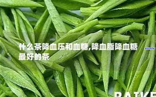 喝哪些茶能有效降血压和血脂？