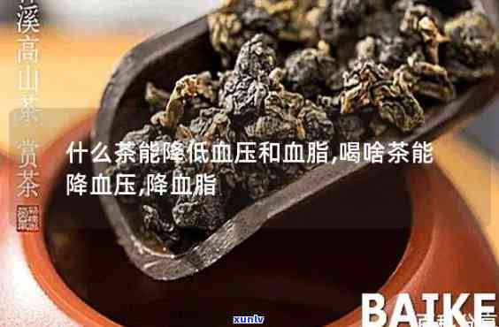 新疆什么茶降脂降压，新疆特产茶，有效降低血脂和血压！