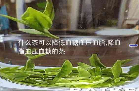 什么茶能有效降血脂血压？哪种茶效果？