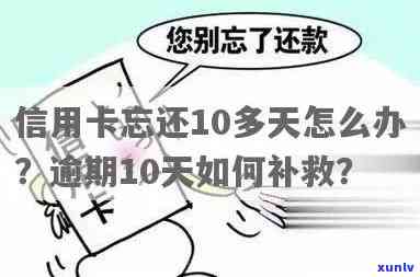 逾期10天怎么办，逾期10天：怎样应对并解决？