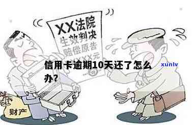 逾期10天怎么办，逾期10天：怎样应对并解决？