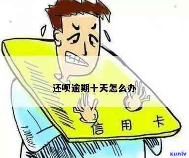 光大能撤销利息几次，光大银行：撤销利息的次数限制是多少？