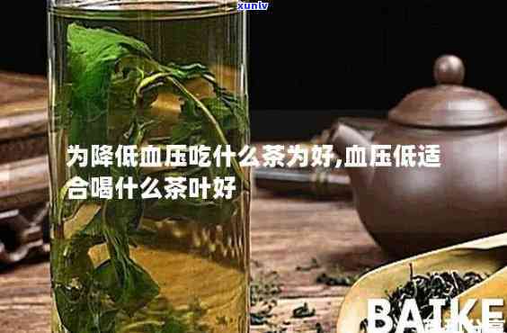 什么茶降肝火降血压-什么茶降肝火降血压效果好