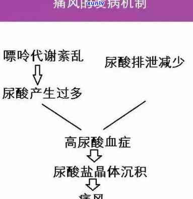 什么茶能有效治疗痛风？寻找解决方案