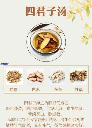 四君子茶有什么作用-四君子茶的作用