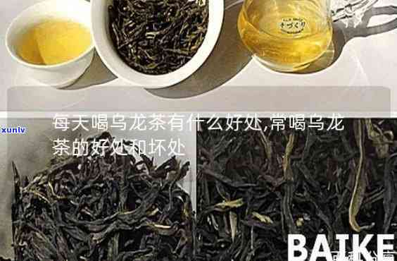 大乌叶茶有什么弊端和作用，揭示大乌叶茶的利弊：全面解析其功效与副作用