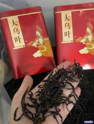 大乌叶茶的好处：揭示其功效与可能的风险