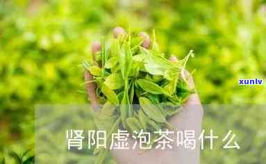 什么茶可以补肾阳虚-什么茶可以补肾阳虚呢