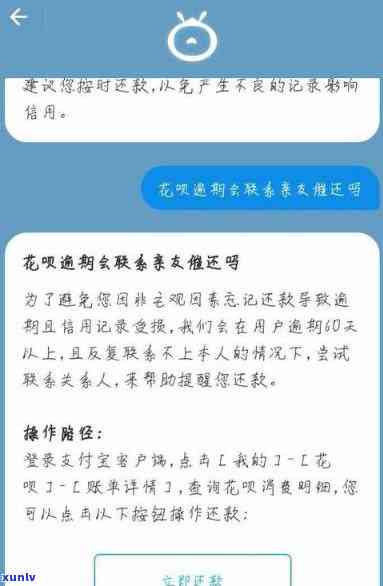 全面解析：支付宝花呗逾期的具体作用