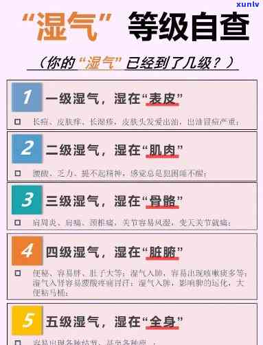 体内湿气重用什么茶喝，解救体内湿气！推荐适合饮用的去湿茶