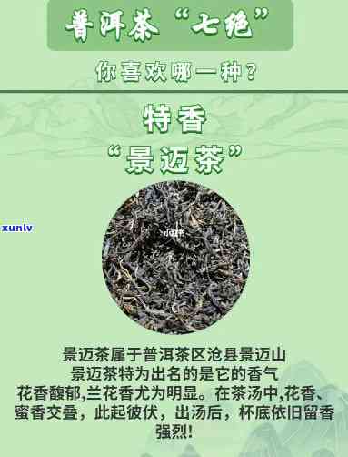 什么茶既香又甜？寻找喝的香甜茶！