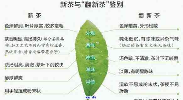 是陈茶好还是新茶好？探讨茶叶、白茶的新旧之分