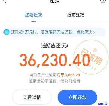 支付宝借呗逾期有什么作用佩多博客，探究支付宝借呗逾期的作用：佩多博客分析