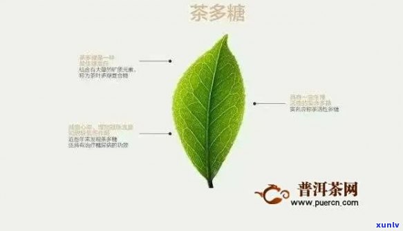 一克茶含多少茶多酚？详细解析