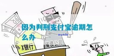 支付宝逾期金额小，如何处理支付宝逾期小额款？