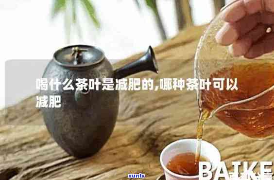 什么茶促进新陈代谢-什么茶促进新陈代谢,有利于减肥