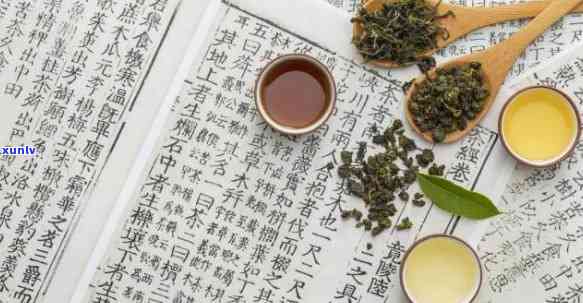 普洱茶与黑茶的泡法及搭配建议：如何正确泡制普洱茶和黑茶以获得口感？