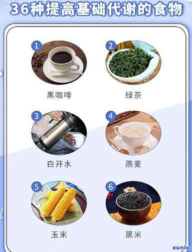 什么茶提高基础代谢-什么茶提高基础代谢最快