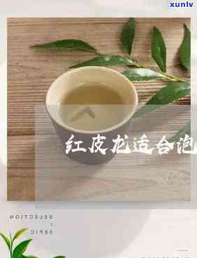 红皮龙泡什么茶好喝？详细图文/视频教程！