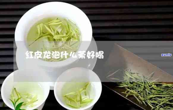 红皮龙泡什么茶，探讨搭配：红皮龙泡哪种茶最出色？