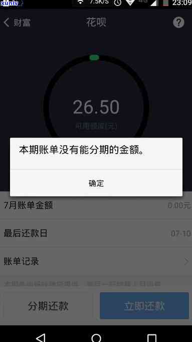 为什么我的花呗没有期还款功能？