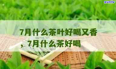 七月份什么茶叶？口感与品质双重推荐！