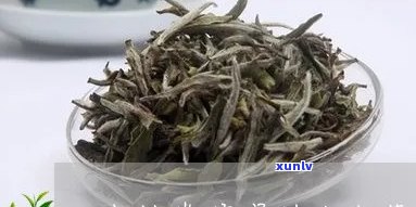 妇科消炎泡什么茶喝？的选择是什么？