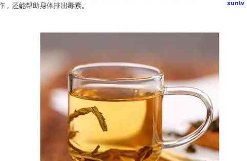 妇科消炎喝什么茶好-妇科消炎喝什么茶好得快