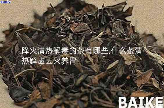 清热去火解喝什么茶？效果的饮品推荐！