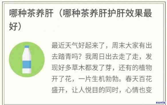 肝理气喝什么茶好一点，缓情绪，呵护肝脏——推荐几款适合肝理气的茶叶