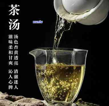 什么茶一直泡着好喝-什么茶一直泡着好喝一点