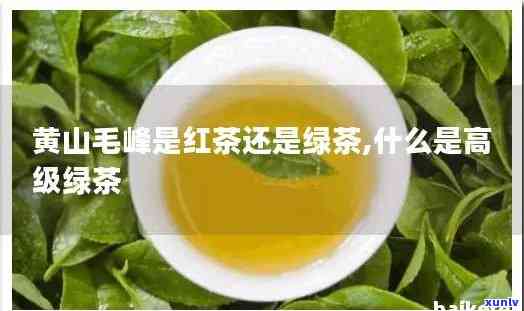 寿高山茶：是绿茶还是红茶？特点揭秘