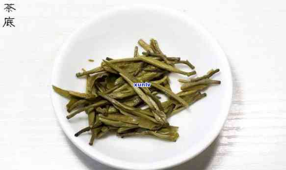 九十度最适合冲泡哪种茶？详解茶叶选择与冲泡技巧