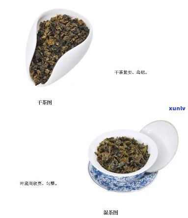 国韵天香茶是什么茶-国韵天香茶是什么茶叶