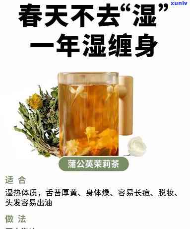 下湿热喝什么茶好-下湿热喝什么茶好得快